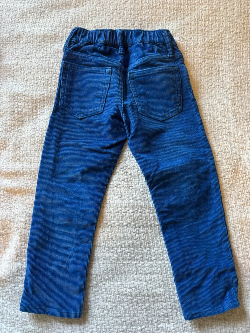 GAP Slim Corduroy Pants in Royal Blue